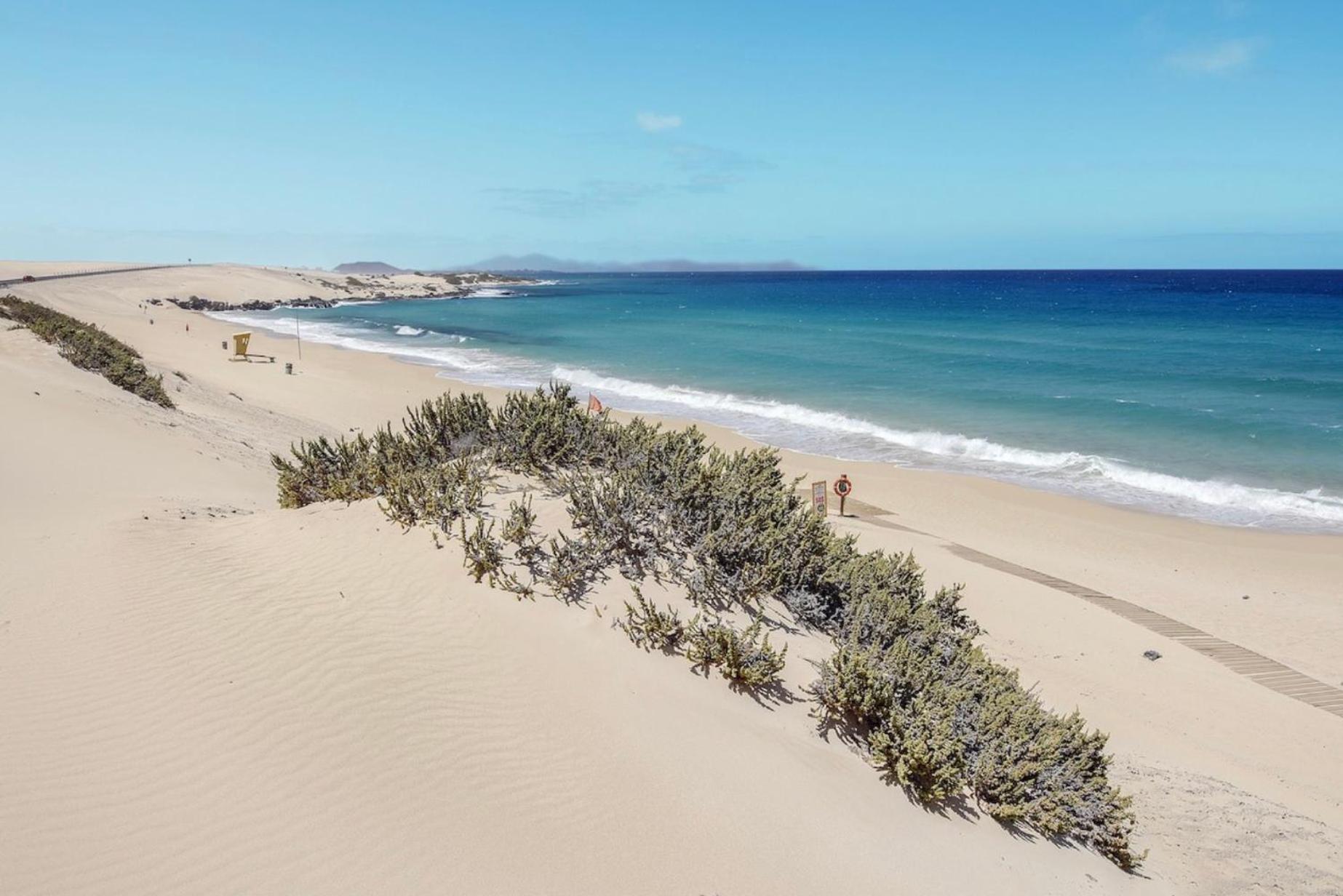El Cortijo Villa ลาโอลีวา ภายนอก รูปภาพ