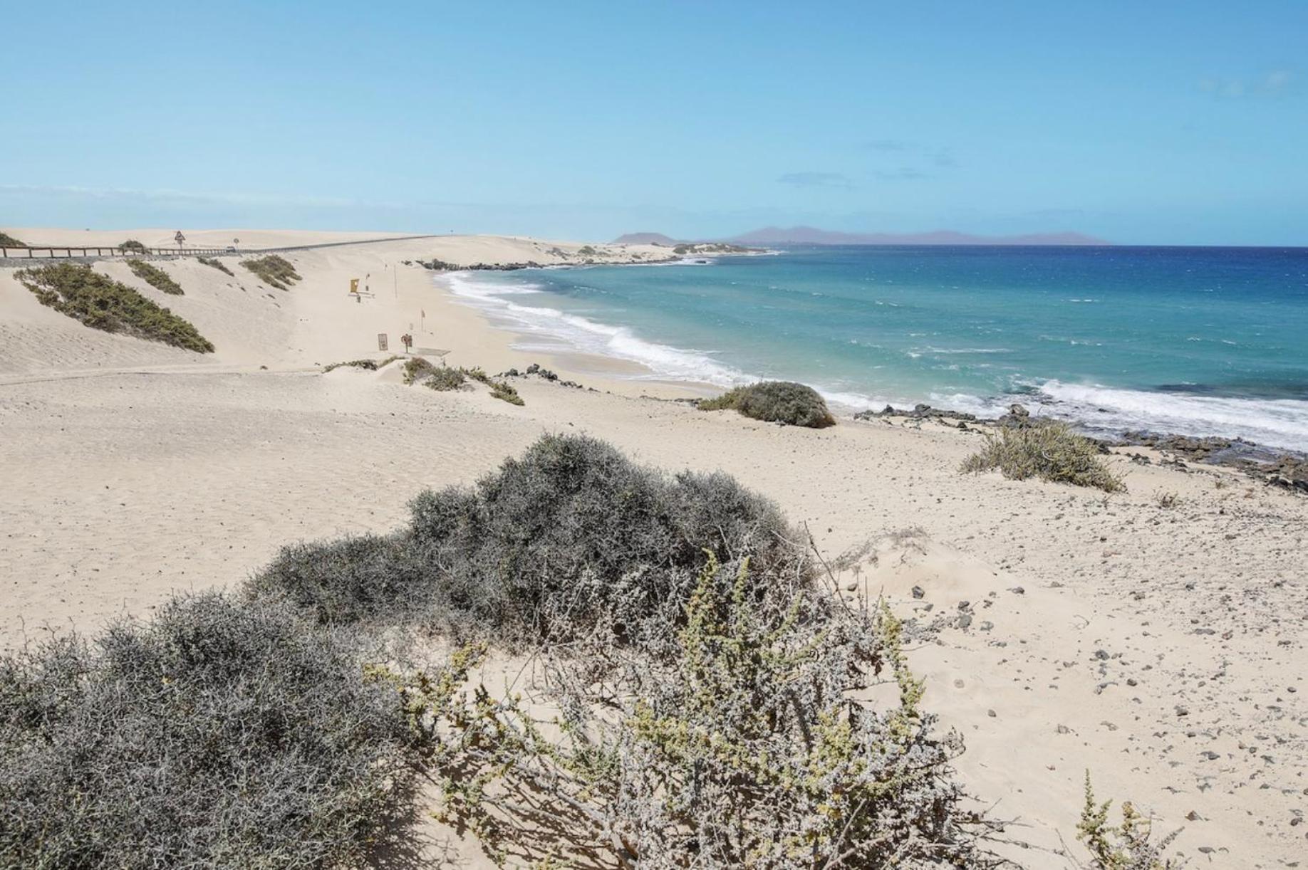 El Cortijo Villa ลาโอลีวา ภายนอก รูปภาพ